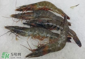 青蝦變黑了還能吃嗎？青蝦為什么變黑？