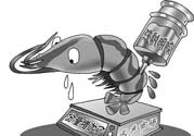 活蝦灌膠水是真的嗎？活蝦灌膠水人吃了會有什么害處？