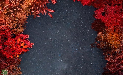 紅棕色是什么顏色？紅棕色口紅試色