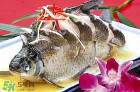 魚有禽流感嗎？吃魚會得禽流感嗎？