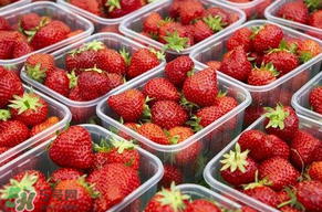 草莓爛了點(diǎn)皮可以吃嗎？草莓表皮發(fā)白是爛了嗎？