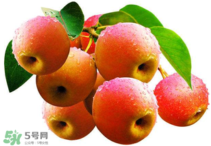 南國梨為什么有酒味？南果梨有酒味能吃嗎？
