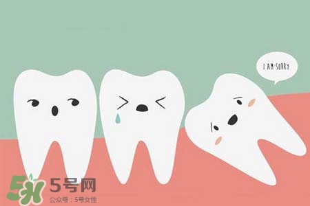 智齒會一直長嗎？智齒會停止生長嗎？