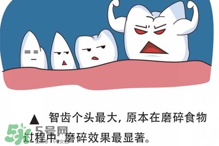 智齒經(jīng)常發(fā)炎怎么辦？智齒反復(fù)發(fā)炎腫痛怎么辦？