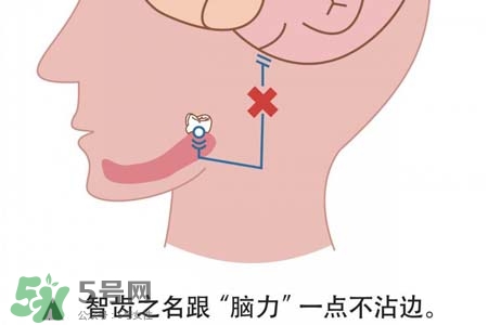 智齒會引起耳鳴嗎？耳鳴跟智齒有關系嗎？