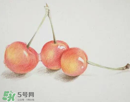 櫻桃有點苦怎么回事？櫻桃有點苦可以吃嗎？