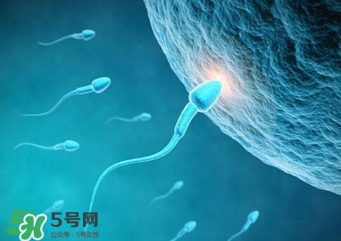 如何提高精子質(zhì)量與成活率？精子質(zhì)量怎么調(diào)理？