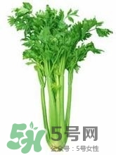 負卡路里的食物有哪些？負卡路里食物真的吃不胖嗎？
