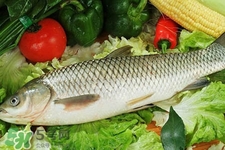 草魚(yú)能生吃嗎？草魚(yú)可以直接生吃嗎？
