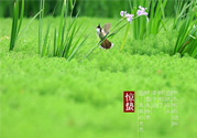 驚蟄吃什么蔬菜好？驚蟄節(jié)氣養(yǎng)生吃什么蔬菜？