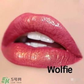 啞光和水潤(rùn)哪個(gè)好？啞光口紅和水潤(rùn)口紅區(qū)別