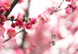 驚蟄如何養(yǎng)生？驚蟄前后如何養(yǎng)生？