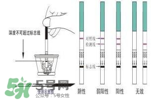 驗(yàn)孕試紙準(zhǔn)嗎？驗(yàn)孕試紙?jiān)趺纯辞髨D解