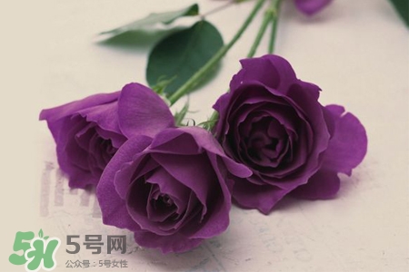 4月份適合種什么花？四月份種什么花好？