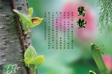 驚蟄節(jié)氣要注意什么？驚蟄節(jié)氣養(yǎng)生注意事項