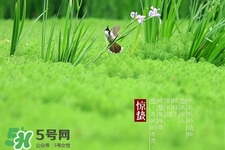 驚蟄如何養(yǎng)生？驚蟄前后如何養(yǎng)生？