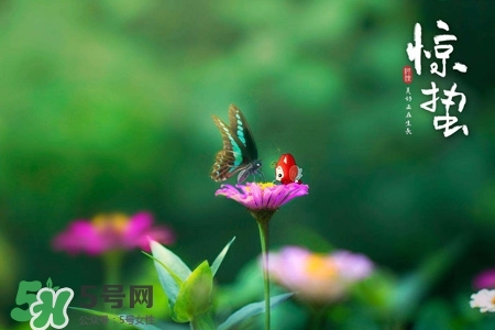 驚蟄如何養(yǎng)生？驚蟄前后如何養(yǎng)生？