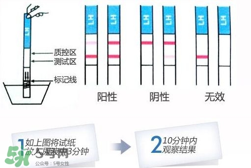 早孕試紙什么時候測最準？早孕試紙什么時候可以測出來