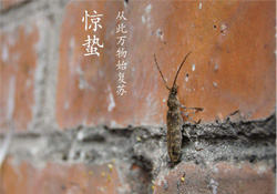 驚蟄可以去掃墓嗎？驚蟄可以去上墳嗎？