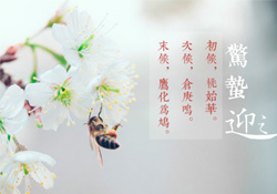 驚蟄怎么打小人？驚蟄如何打小人？