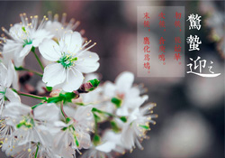 驚蟄為何要打小人？驚蟄為什么要打小人？