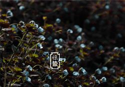 驚蟄節(jié)氣要注意什么？驚蟄節(jié)氣養(yǎng)生注意事項(xiàng)