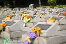 3月份可以掃墓嗎？三月份可以上墳嗎？