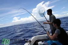 三月份可以釣魚了嗎？三月份好釣魚嗎？
