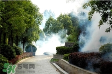 4月份可以溫泉泡嗎？四月份還有溫泉泡嗎？