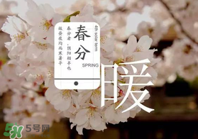 春分種什么菜？春分適合種什么菜？