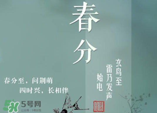 春分種什么菜？春分適合種什么菜？