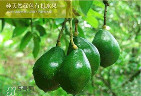 牛油果可以放多久？牛油果放冰箱能放多久？
