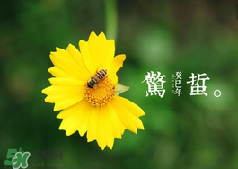 驚蟄前后可以種什么？驚蟄前后種什么蔬菜？