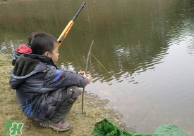 驚蟄能釣魚嗎？驚蟄釣什么魚好？
