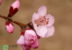 2017年春分是什么時候？2017年春分是幾月幾號？