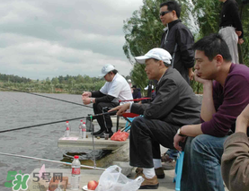 驚蟄過后好釣魚嗎？驚蟄后陰雨天好釣魚嗎？