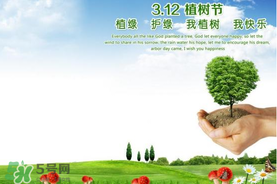 植樹(shù)節(jié)為什么要種樹(shù)？植樹(shù)節(jié)種樹(shù)的意義