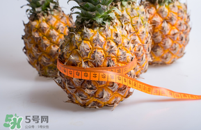 三月份什么水果上市？3月份什么水果上市？