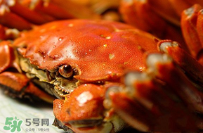 三月份吃什么螃蟹？3月份吃什么螃蟹？