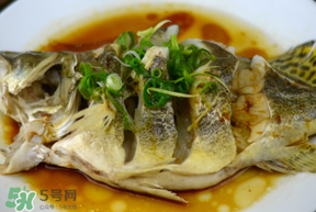 三月份吃什么魚(yú)？3月份吃什么魚(yú)好？