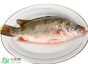 三月份吃什么魚(yú)？3月份吃什么魚(yú)好？
