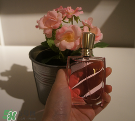 蘭蔻和迪奧香水哪個(gè)好？蘭蔻和迪奧香水推薦