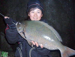 3月份釣魚用什么餌料？三月份釣魚用什么魚餌？
