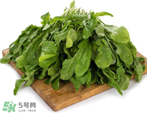 薺菜葉子黃了能吃嗎？薺菜發(fā)黃能吃嗎？