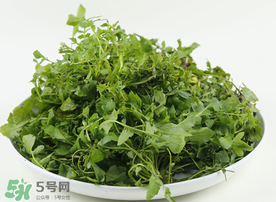 薺菜多少錢一斤？野生薺菜多少錢一斤？