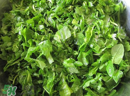 薺菜怎么洗？薺菜怎么洗才干凈？