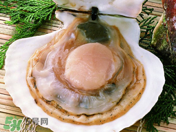 薺菜和扇貝可以一起吃嗎？薺菜扇貝湯的做法