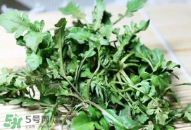 薺菜能和青菜一起吃嗎？薺菜和青菜一起吃好嗎？