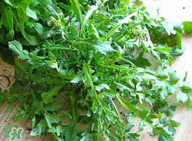 薺菜上有白點能吃嗎？薺菜背面有白點是什么？