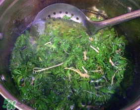 薺菜怎么焯水？薺菜焯水多久？